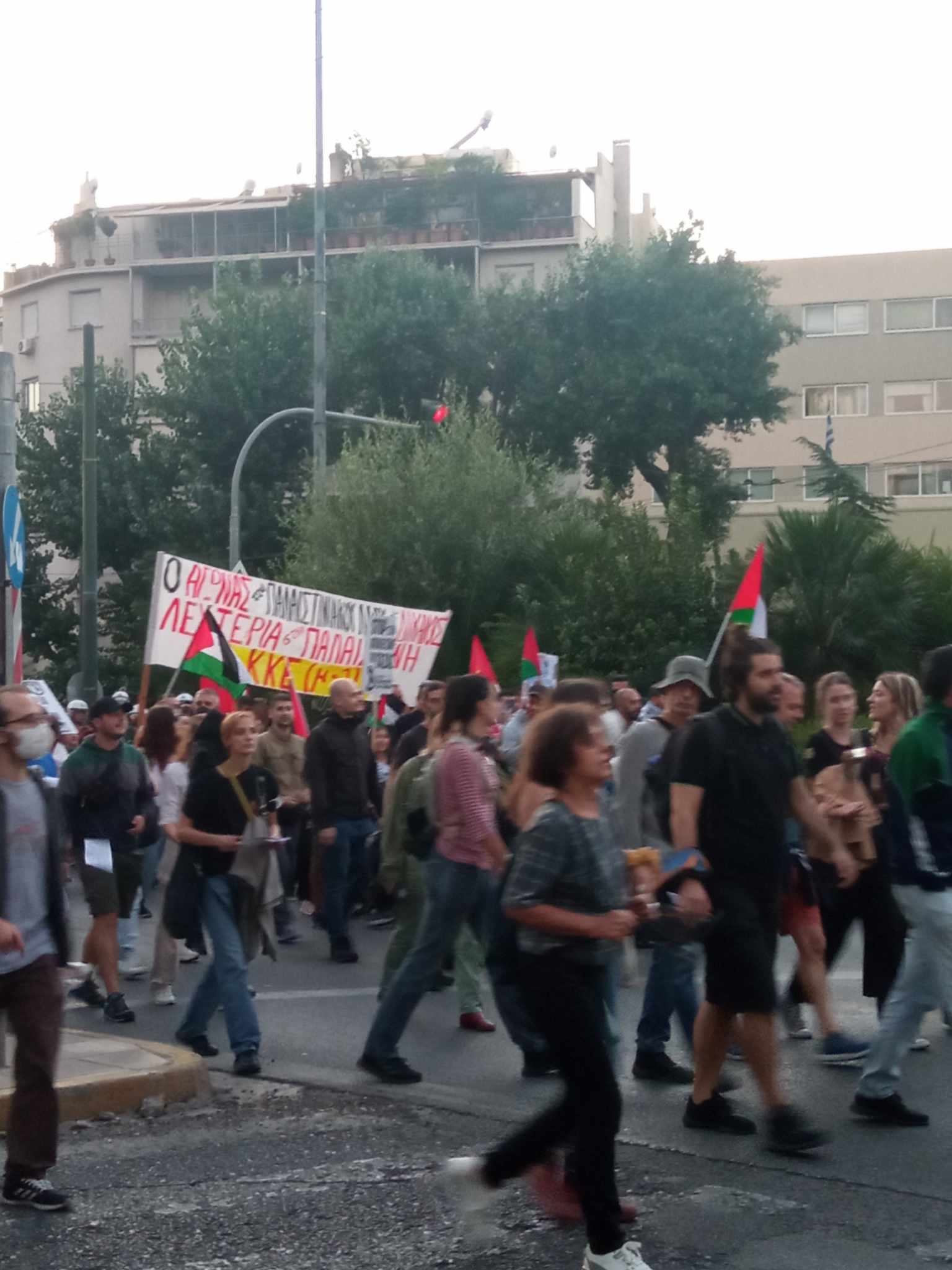 Στιγμιότυπο από τη διαδήλωση υπέρ της Παλαιστίνης
