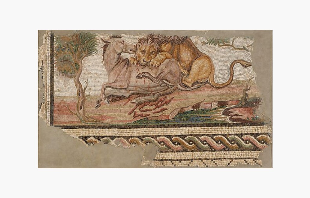 Μωσαϊκό που απεικονίζει λέοντα που κατασπαράσσει όναγρο (150-200 μ.Χ.). Βόρεια Αφρική