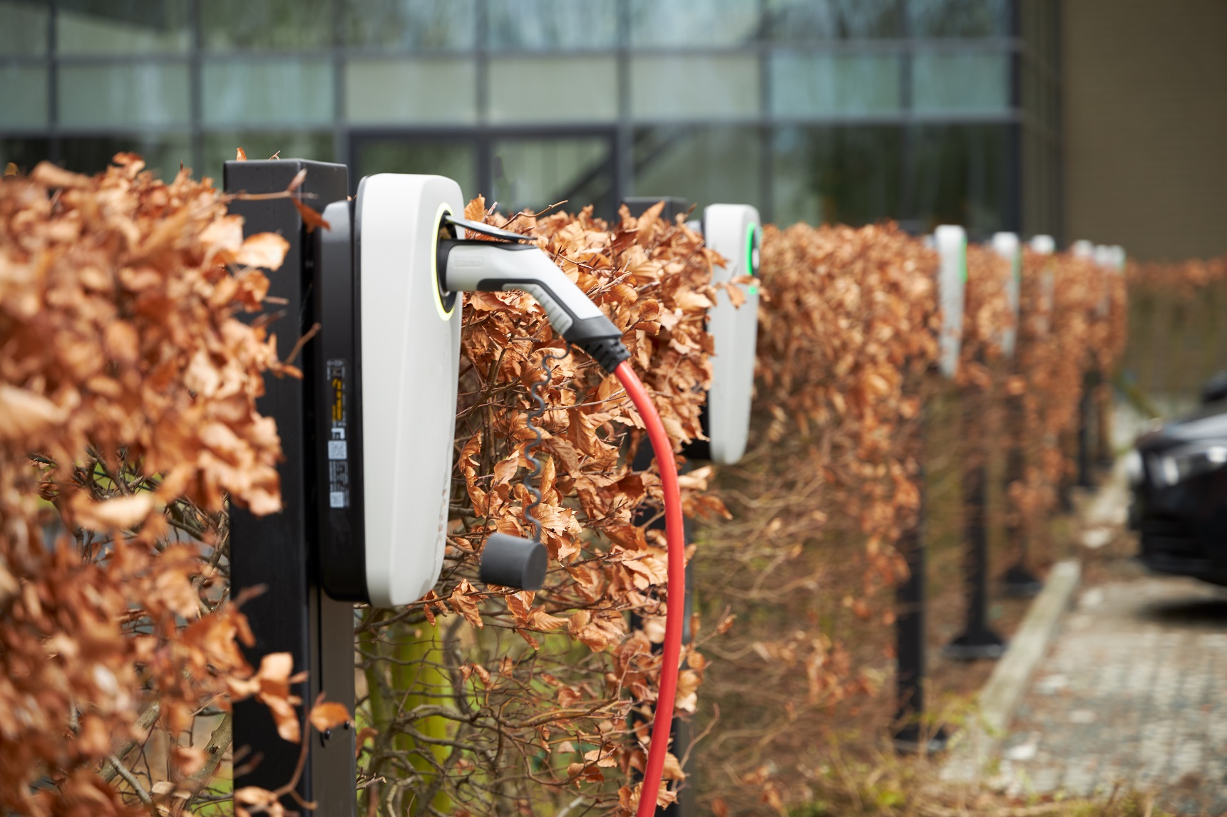 Blink: Συνεργάτης για εταιρικές φορτίσεις!