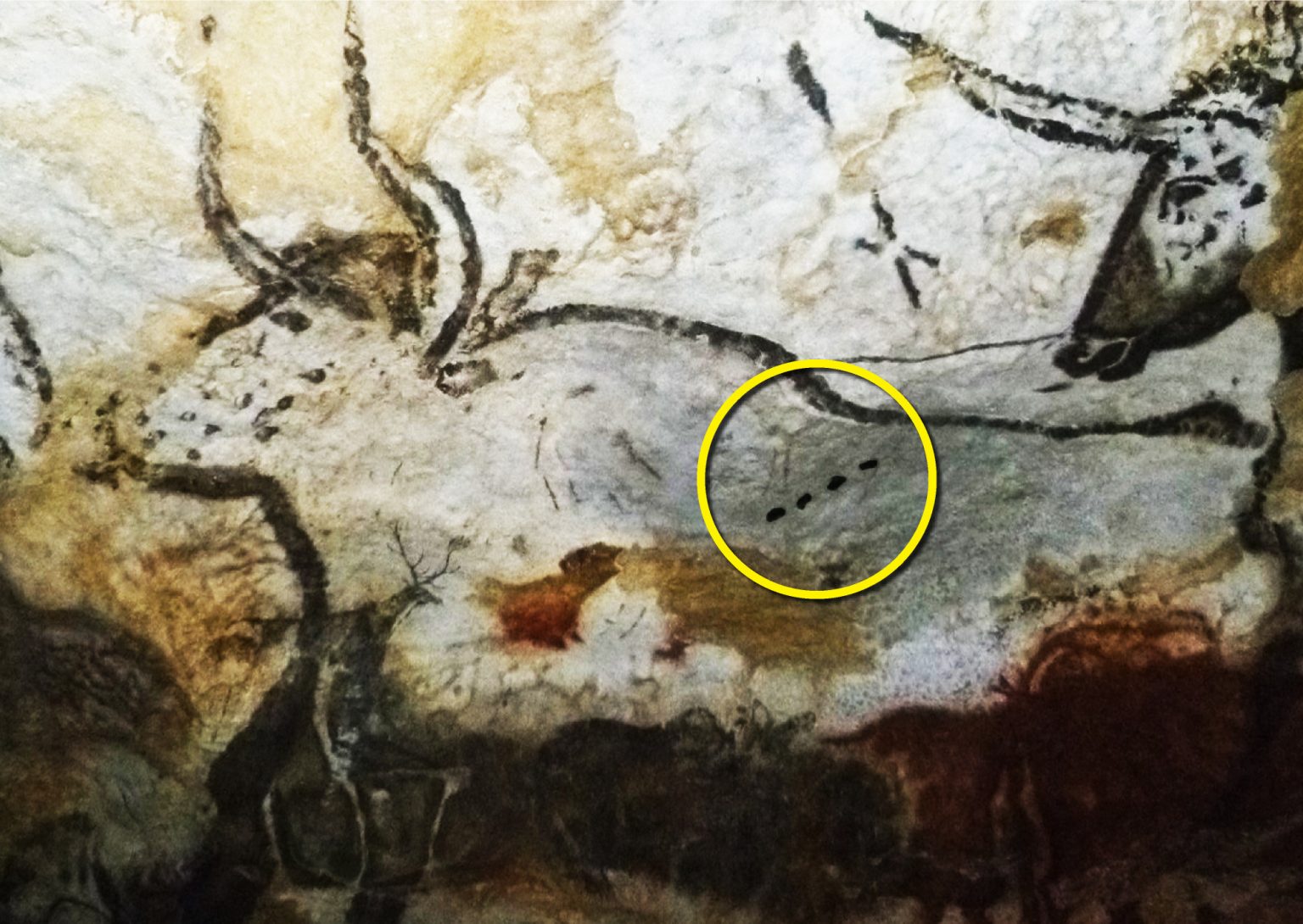 Το σχέδιο ενός ταύρου στο σπήλαιο Λασκό με μία ακολουθία τεσσάρων κουκκίδων, που αποδεικνύει την ύπαρξη κώδικα τέχνης (21.500 χρόνια από σήμερα) 