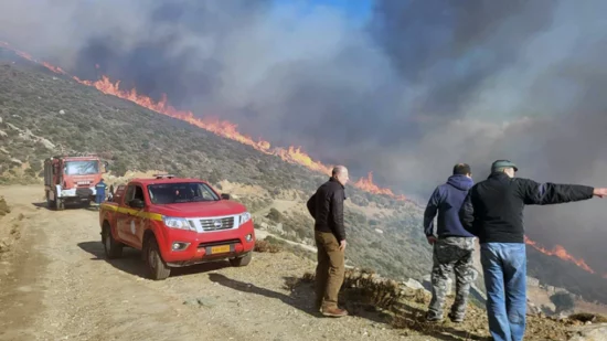 Φωτιά στην Άνδρο, στην περιοχή Άχλα – Επιχειρούν και εναέρια μέσα