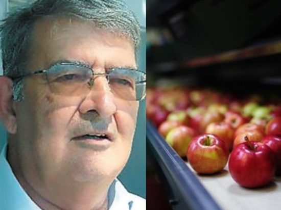 Εισαγωγές: Αυξημένες κατά 36,96% οι εισαγωγές φρούτων και λαχανικών τον Μάρτιο 2024