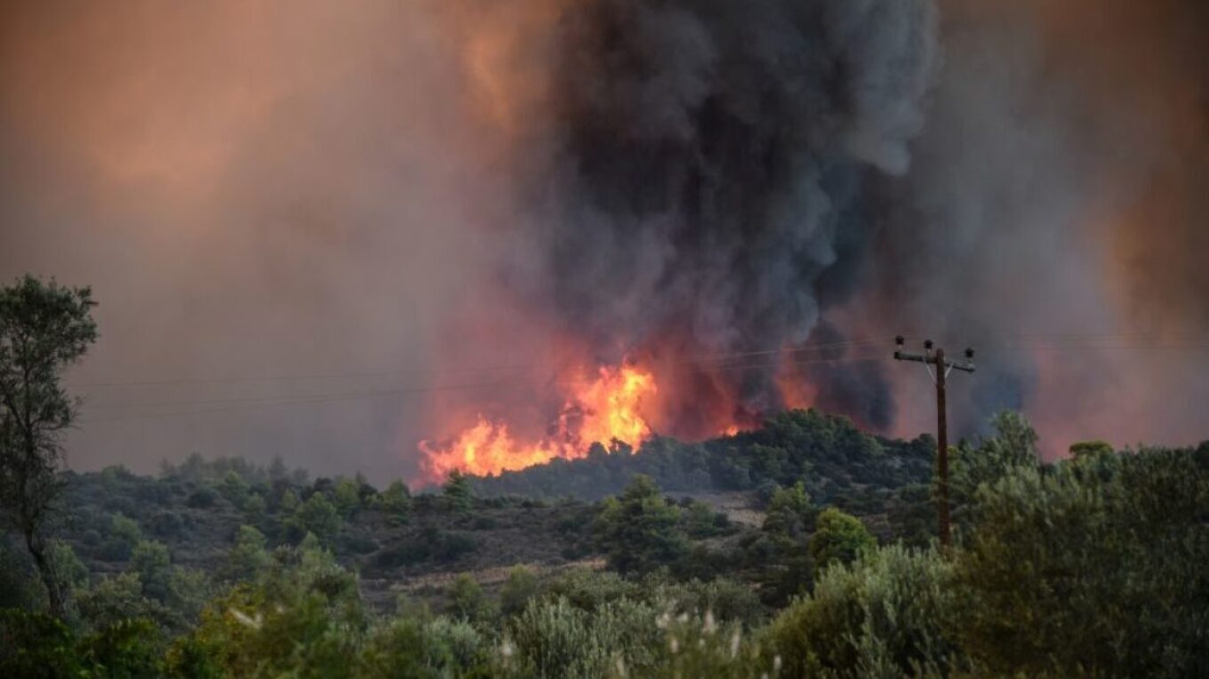 Φωτιά στο Πρόδρομο Βοιωτίας – Μήνυμα 112