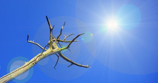 Λειψυδρία: Σοβαρό πρόβλημα σε πολλές περιοχές της χώρας – Ποιές είναι