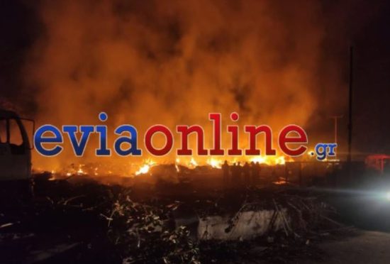 Πυρκαγιά σε χώρο απορριμμάτων στο Ρετσινόλακκο Ευβοίας