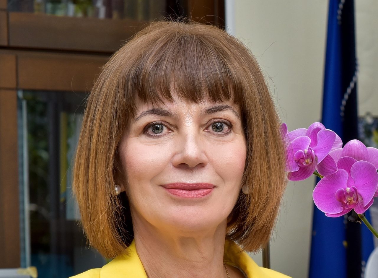 Χριστίνα Κουλούρη, Καθηγήτρια Ιστορίας, Πρύτανις Παντείου Πανεπιστημίου Κοινωνικών και Πολιτικών Επιστημών