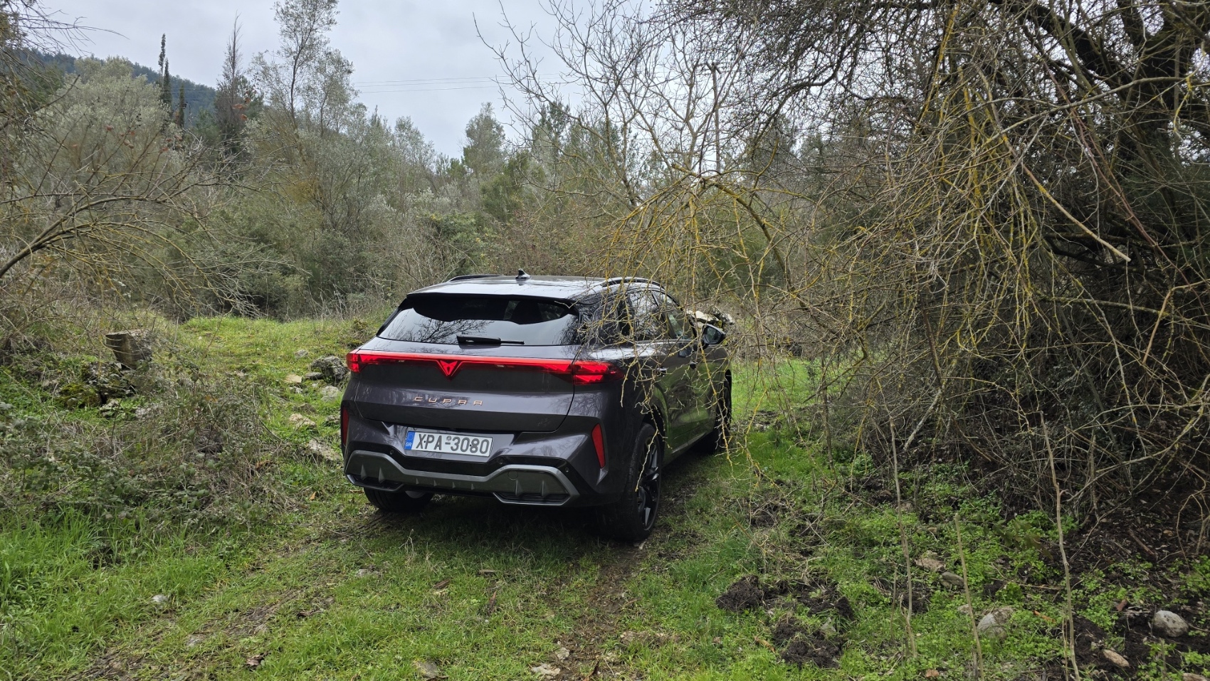 Cupra Terramar