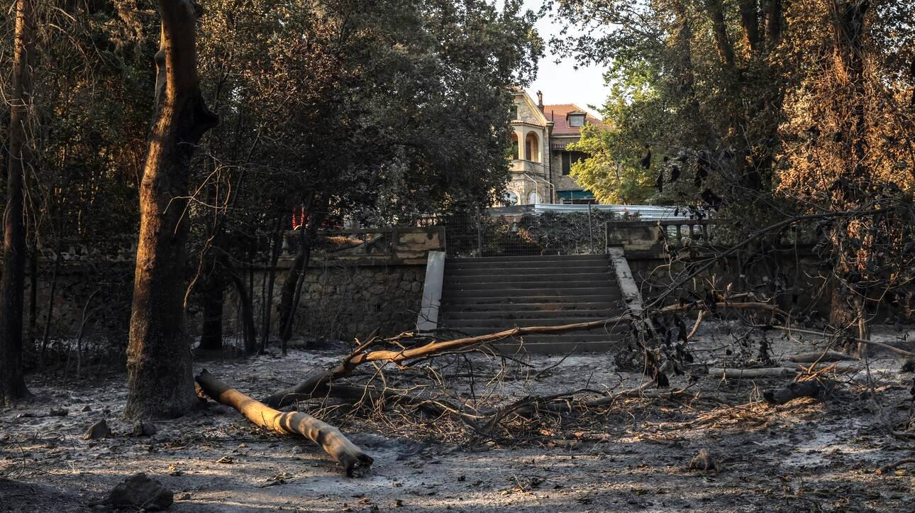 Η πυρκαγιά έφθασε ως το κτήριο του ανακτόρου καταστρέφοντας τους κήπους