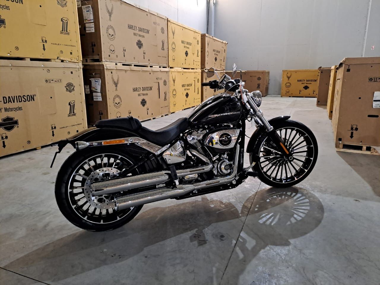 Harley Davidson