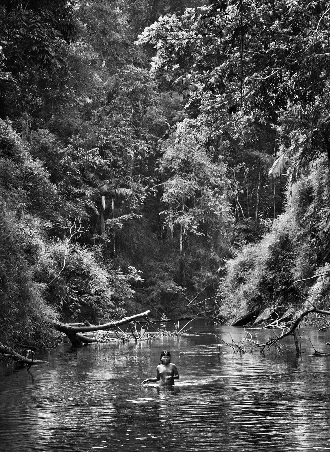 Sebastião Salgado, Amazônia