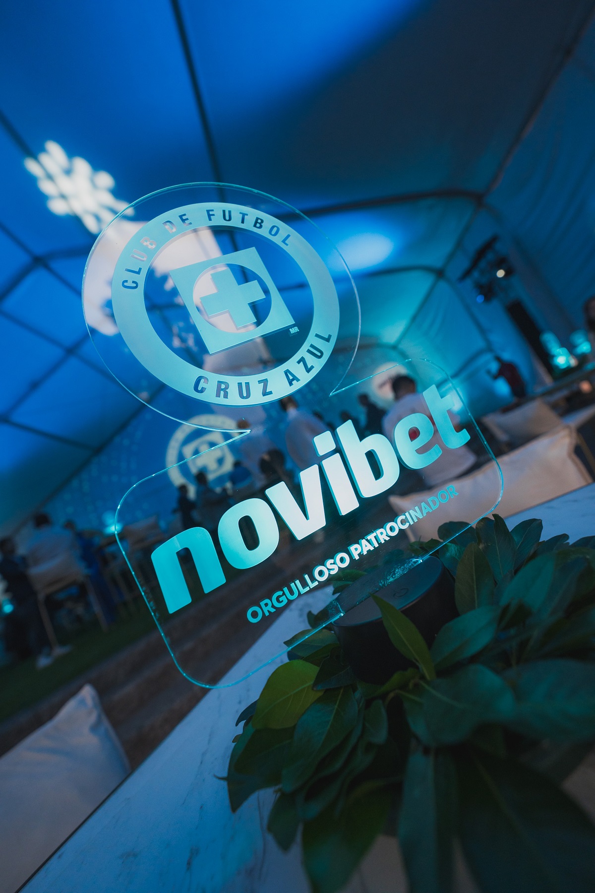 Novibet