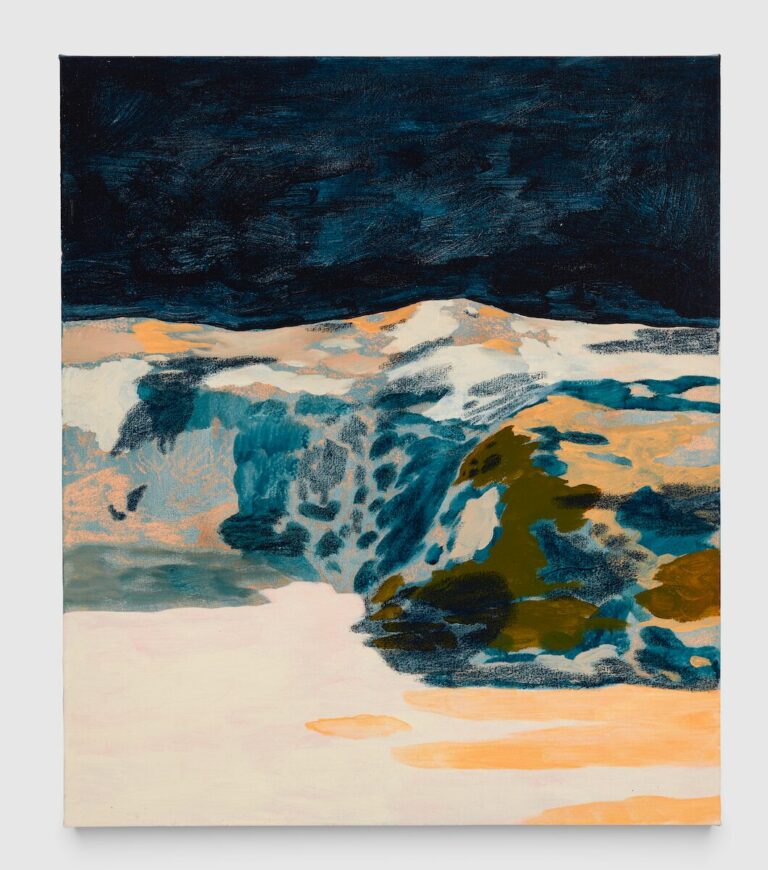 Ximena Maldonado Sánchez "Eresus Kollari", 2024 | Acrylic and pastel on canvas | 70 x 60 cm | Photo credits: We Document Art