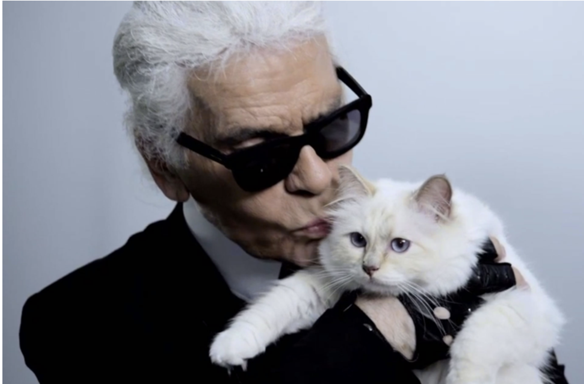 Choupette: Η γάτα του Καρλ Λάγκερφελντ