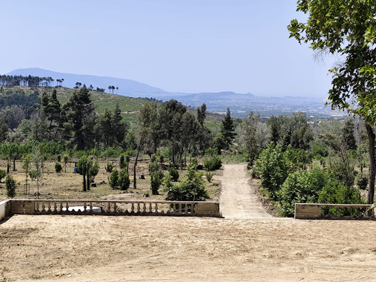 Άποψη των ανακτορικών κήπων