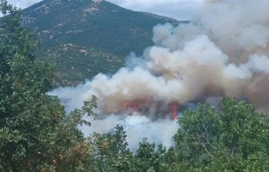 Υπο έλεγχο η φωτιά στην Δεσκάτη Γρεβενών