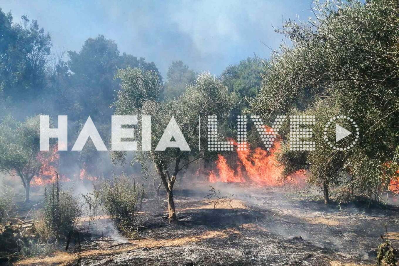 Πηγή: ilialive.gr