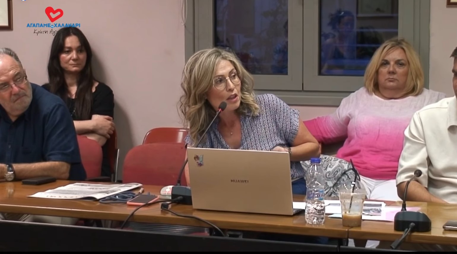 Κρίστη Αγαπητού, Αντιπρόεδρος ΔΣ Σιδηρόδρομοι Ελλάδος ΜΑΕ