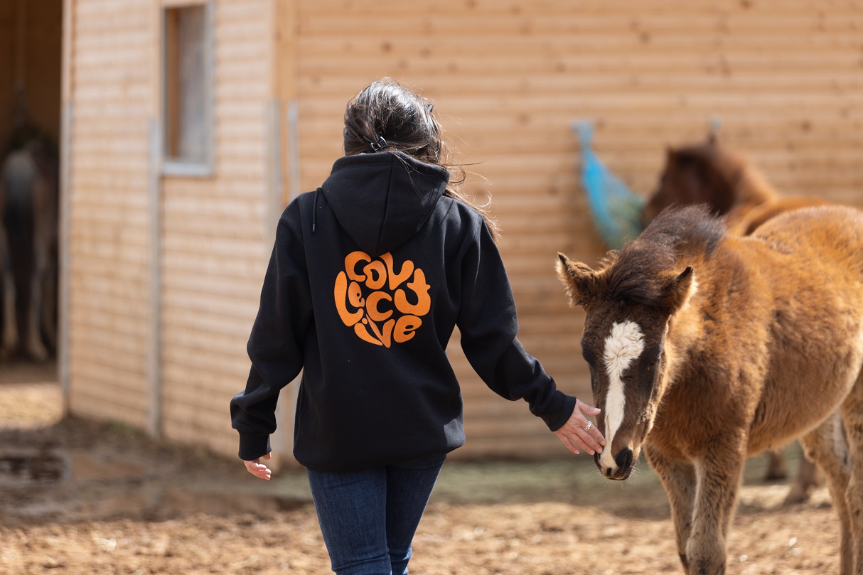Το «The Collective» έχει υποστηρίξει τη Help Horses, που διασώζει ανεπιτήρητα άλογα στις παρυφές του Υμηττού