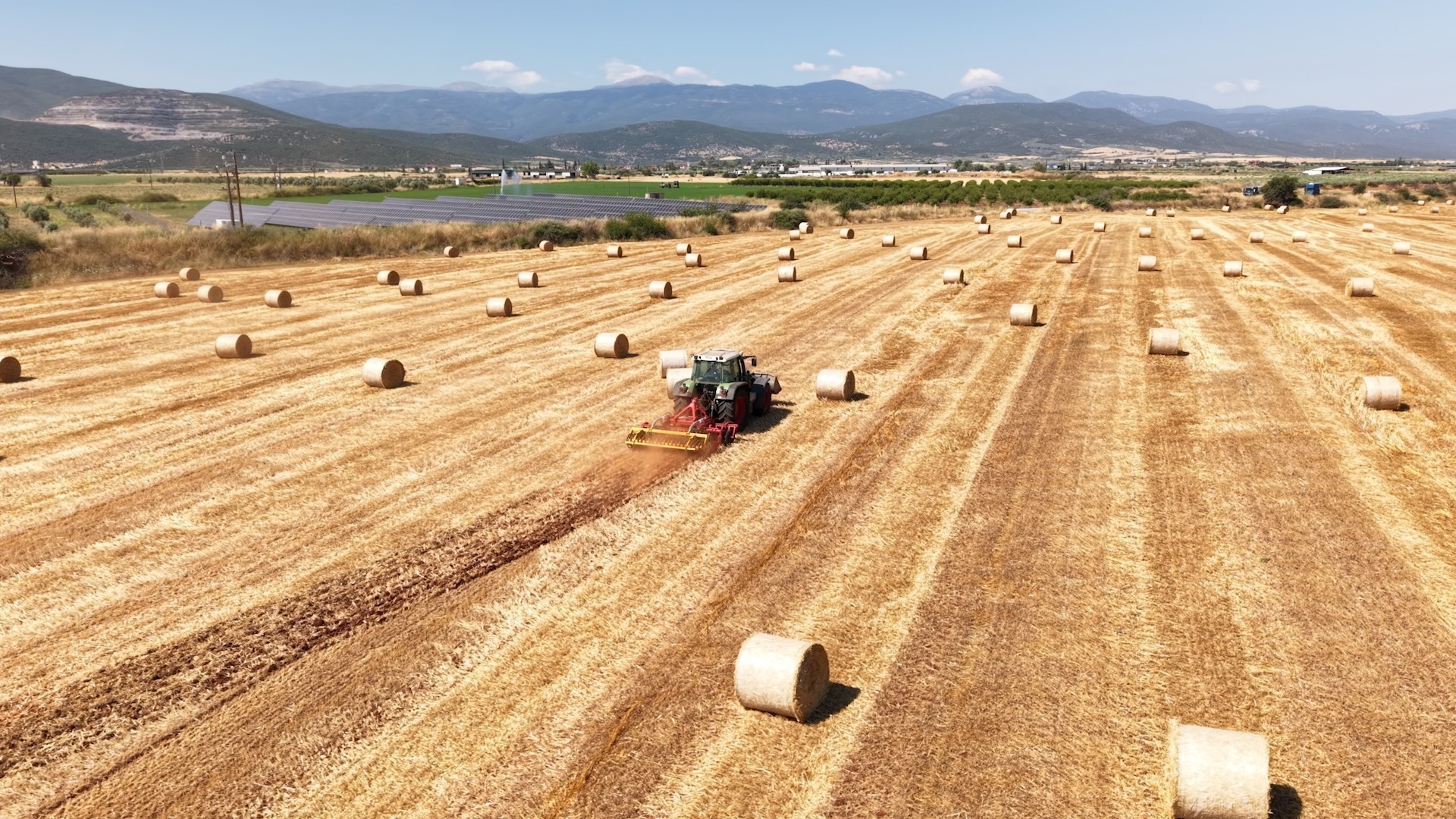 Συμβολαιακή καλλιέργεια: Πώς το ελληνικό κριθάρι δημιουργεί αξία από το χωράφι έως το τελικό προϊόν
