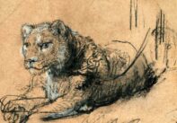 Το λιοντάρι που αναπαύεται», σχέδιο του Ρέμπραντ (1638-42)