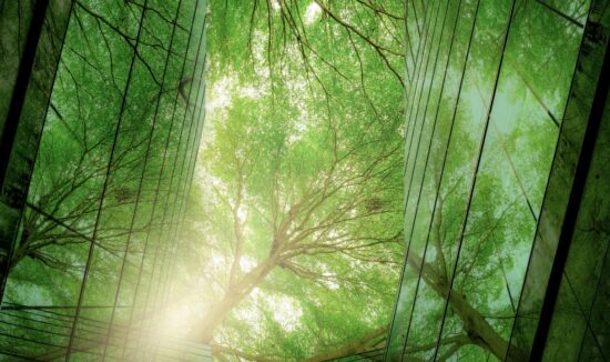 Βιωσιμότητα: Από τη θεωρία στην πράξη – Μια στρατηγική που φέρνει αποτελέσματα και αντιδράσεις