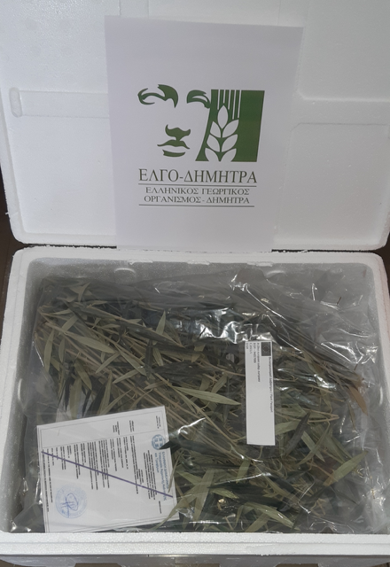 ΕΛΓΟ - ΔΗΜΗΤΡΑ