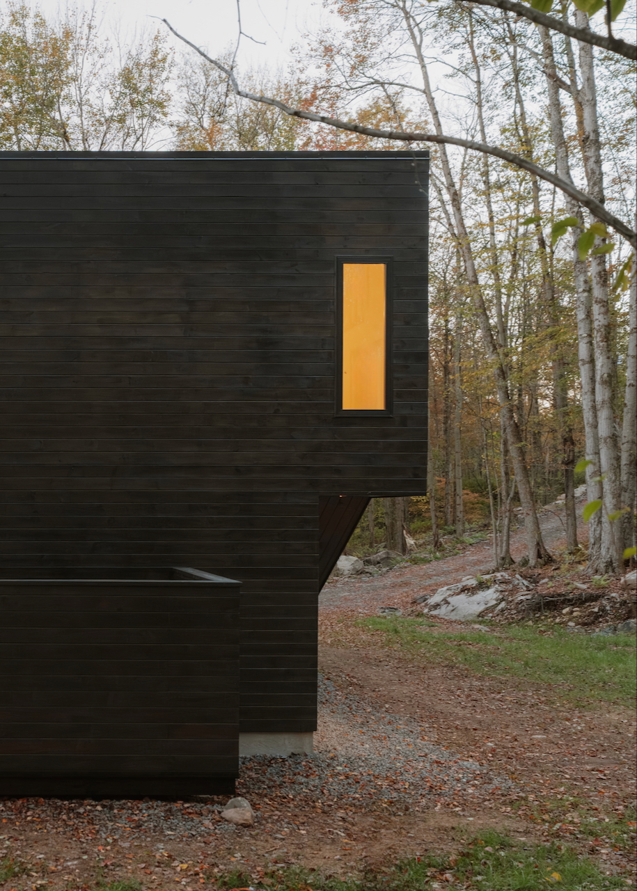 Marc Thorpe - Forest Edge House