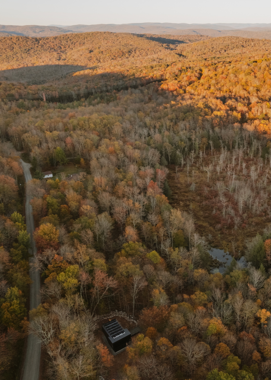 Marc Thorpe - Forest Edge House