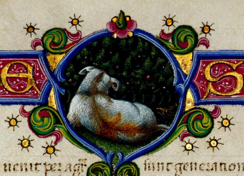 Τμήμα της χειρόγραφης, εικονογραφημένης Βίβλου του 15ου αιώνα