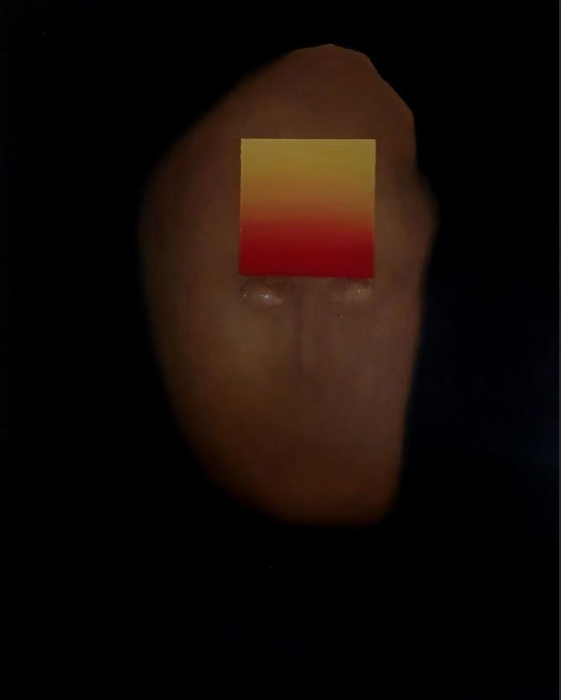 Ο πήλινος άνθρωπος σε λάδι, του Βασίλη Βασιλακάκη