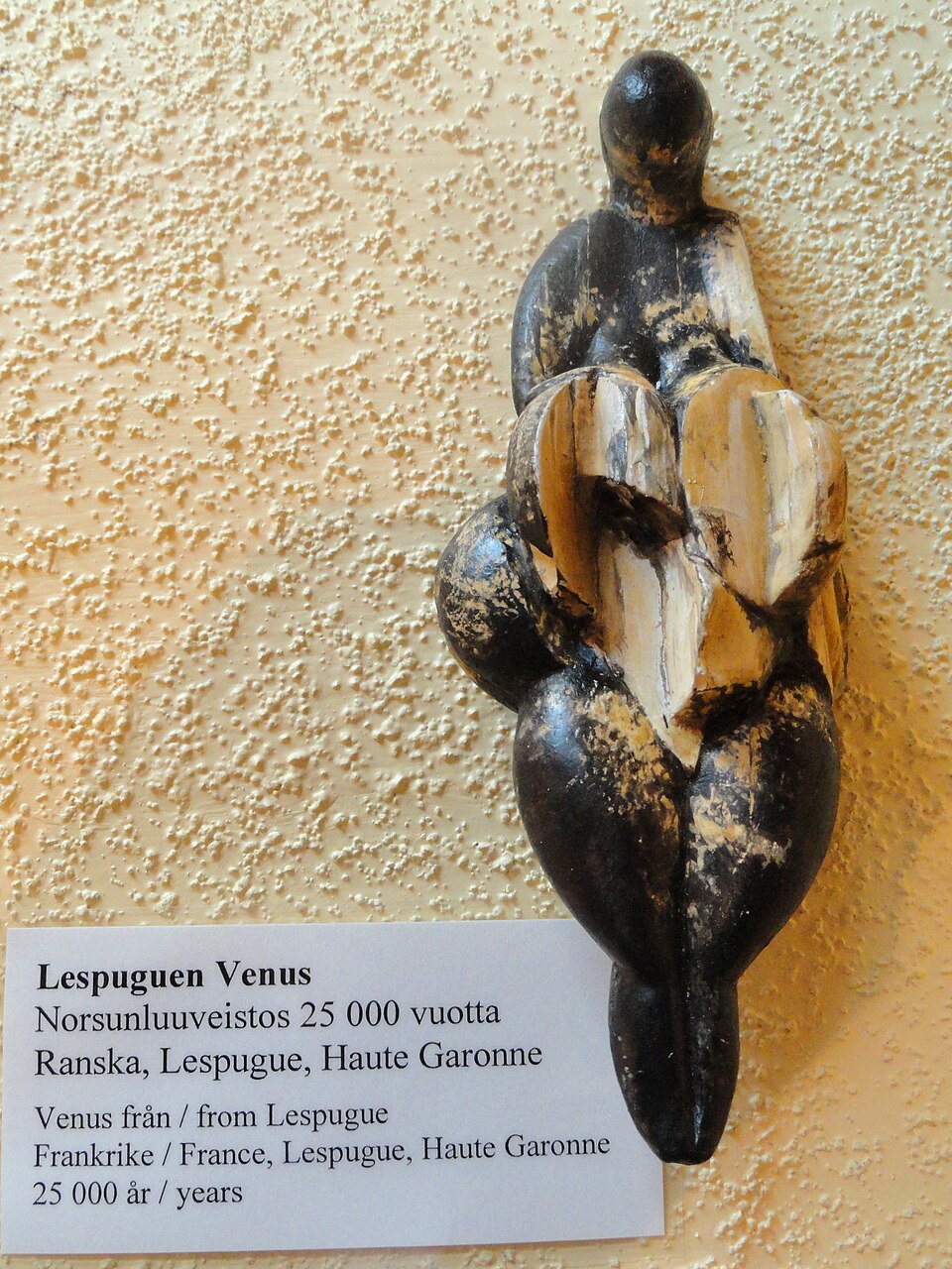 Η «Αφροδίτη του Λεσπύγκ», Εθνικό Μουσείο Φυσικής Ιστορίας, Παρίσι