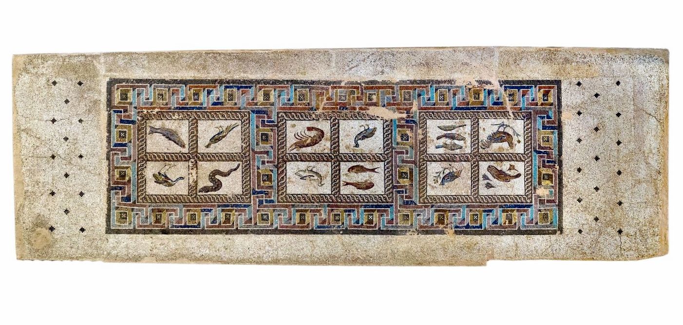 Ψηφιδωτό δάπεδο με πολύχρωμο μαίανδρο που δημιουργεί τρία πλαίσια. Στο καθένα εικονίζονται ψάρια, οστρακοειδή και πτηνά που αποδίδονται με ιδιαίτερες λεπτομέρειες χάρη στη χρήση μικρών ψηφίδων. Πάτρα, 3ος αι. μ.Χ.