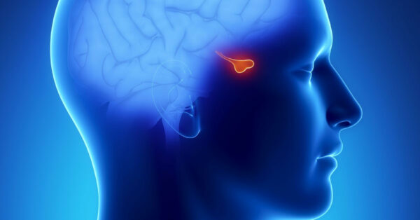 Αδενώματα Υπόφυσης: Μια πάθηση καλοήθης, αλλά όχι αθώα