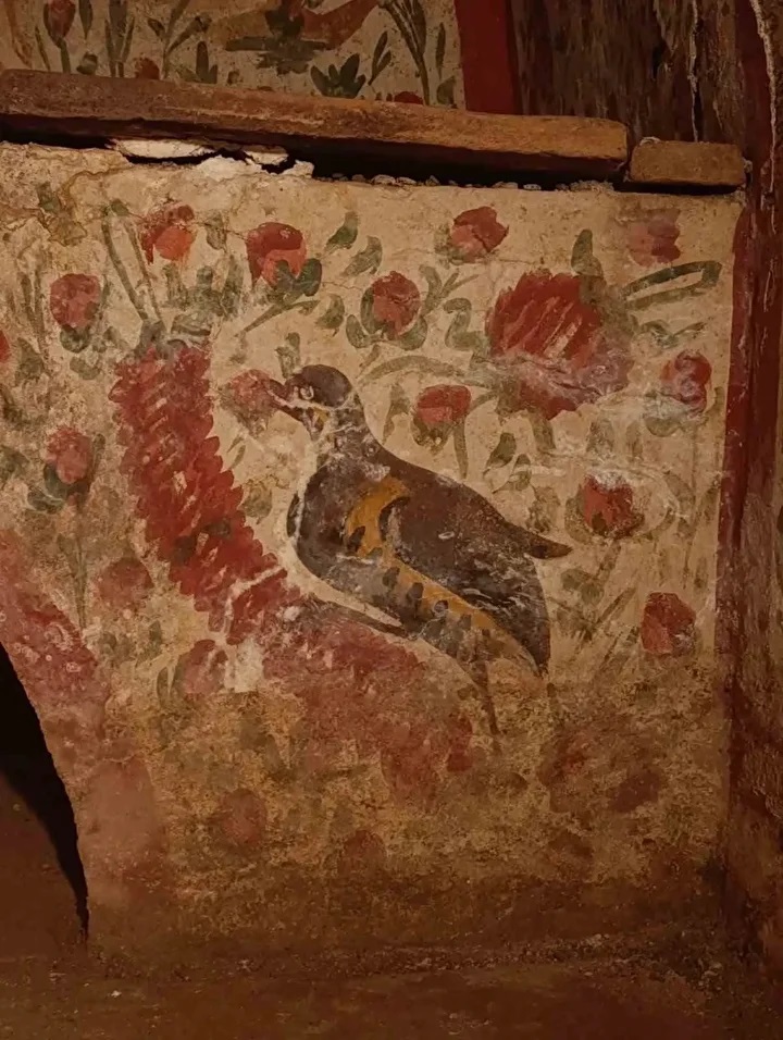 Ζωηρά χρώματα στη διακόσμηση του υπόγειου θαλαμοειδούς τάφου