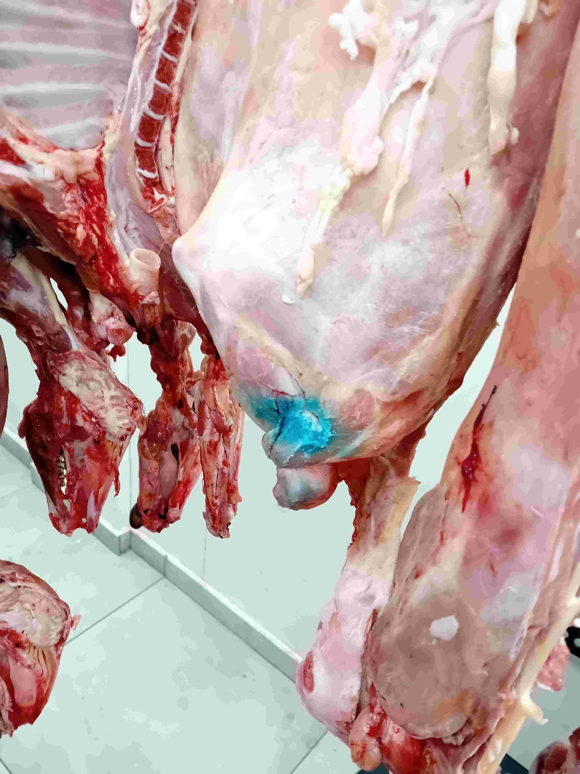 Σε 4.585 ανέρχονται οι μέχρι στιγμής έλεγχοι της Περιφέρειας Αττικής – κατασχέθηκαν 12 τόνοι ακατάλληλων προϊόντων, περισσότερα από 324.000 ευρώ τα επιβληθέντα πρόστιμα