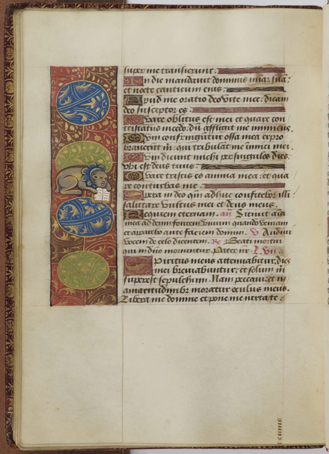 Χειρόγραφο μεσαιωνικό κείμενο με απεικόνιση γάτας