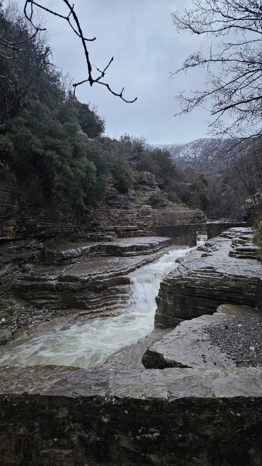 Οι Κολυμπήθρες