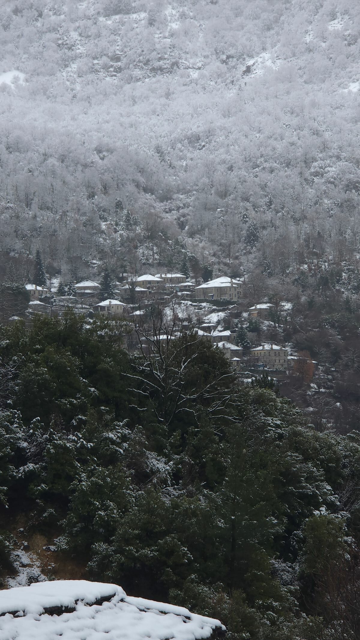 Το μικρό Πάπιγκο