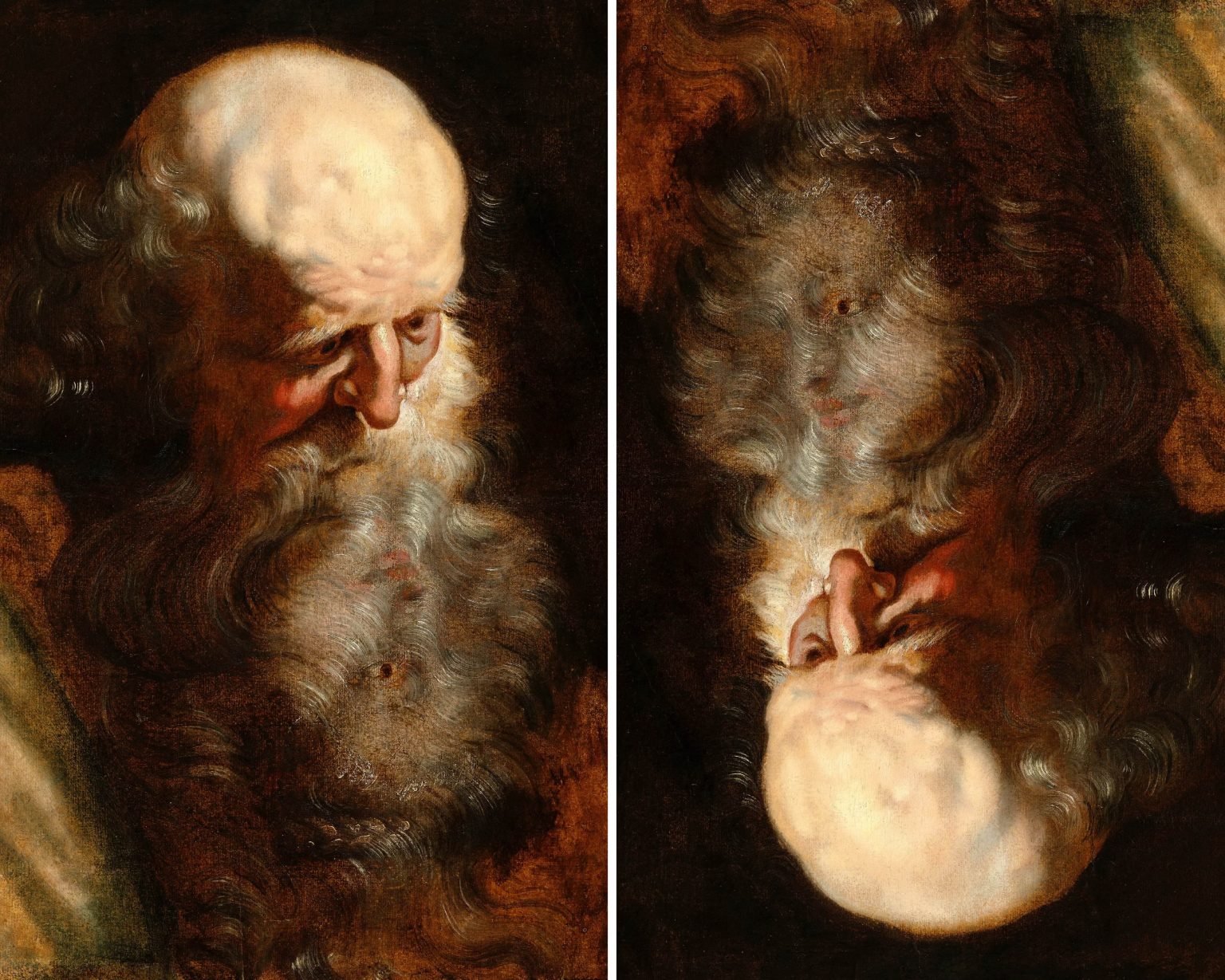 Η μελέτη ενός ηλικιωμένου άνδρα (αριστερά) και η ανεστραμμένη εικόνα στην οποία διακρίνεται το πρόσωπο μιας γυναίκας κρυμμένο μέσα στη γενειάδα του