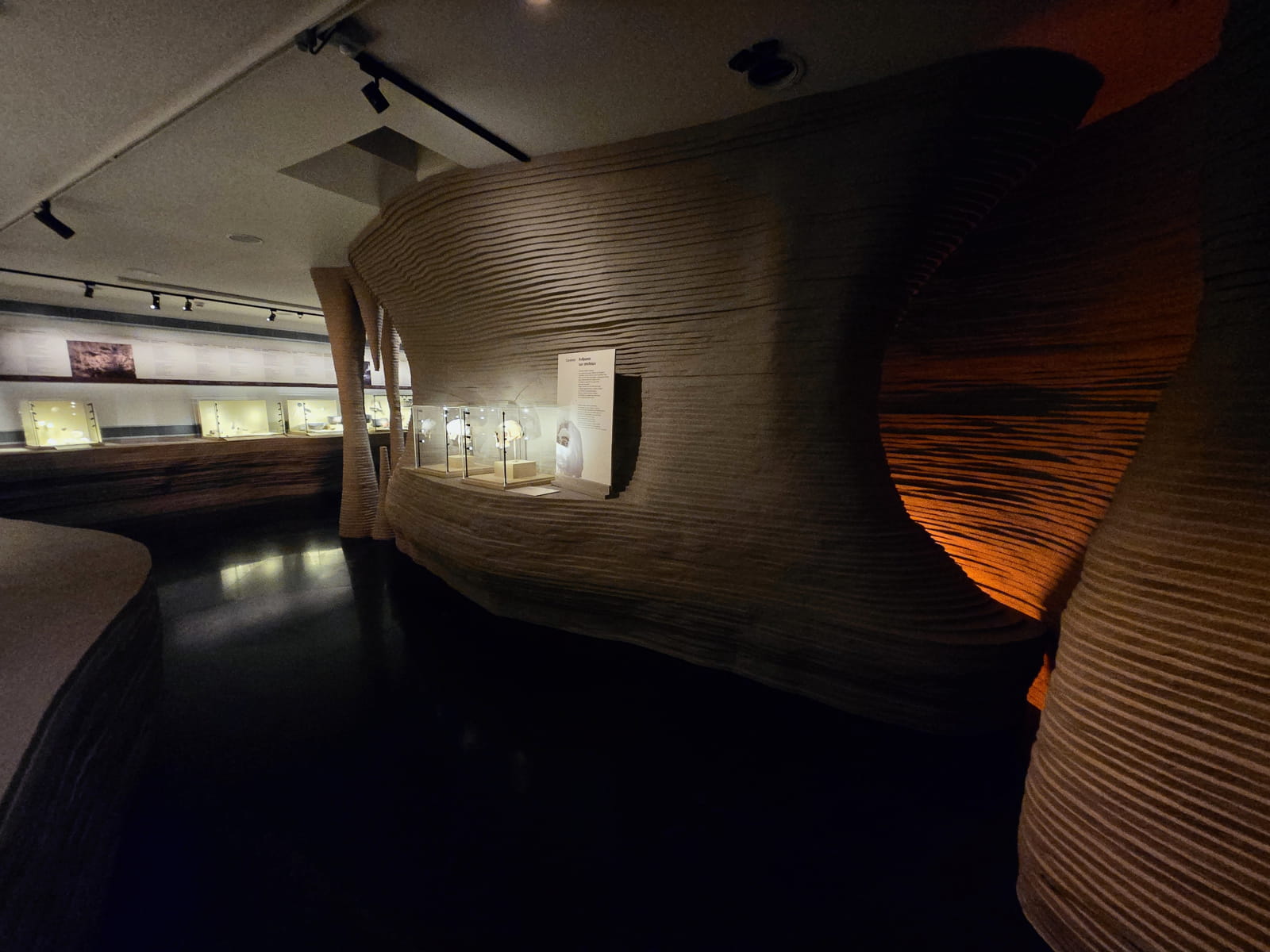 ΕΠΑΙΝΟΣ στο έργο Στη Σπηλιά. Ιστορίες από το σκοτάδι στο φως – In the Cave. Stories from Darkness Brought to Light by Archicon (Codex Museum) 