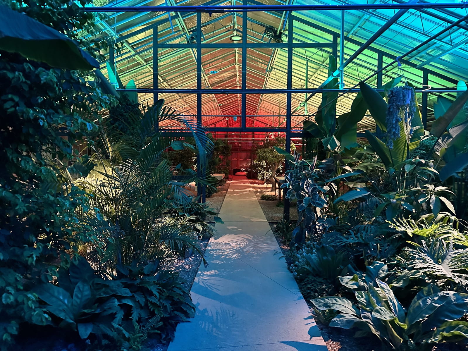 ΒΡΑΒΕΙΟ στο έργο GREENHOUSE CONCEPT SPACE, by Site-Specific 