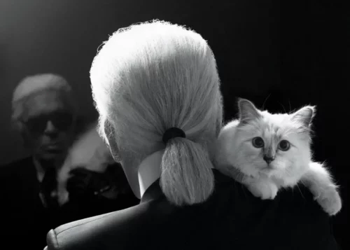 Karl Lagerfeld και Choupette