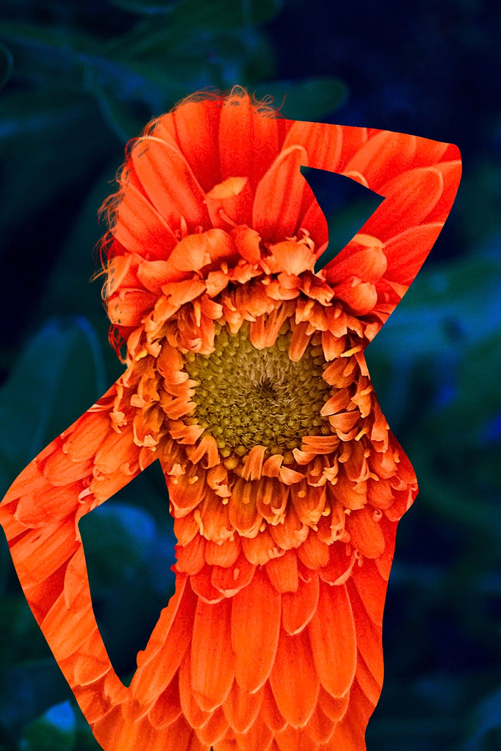 Φωτογραφία της Δέσποινας Κατσώχη