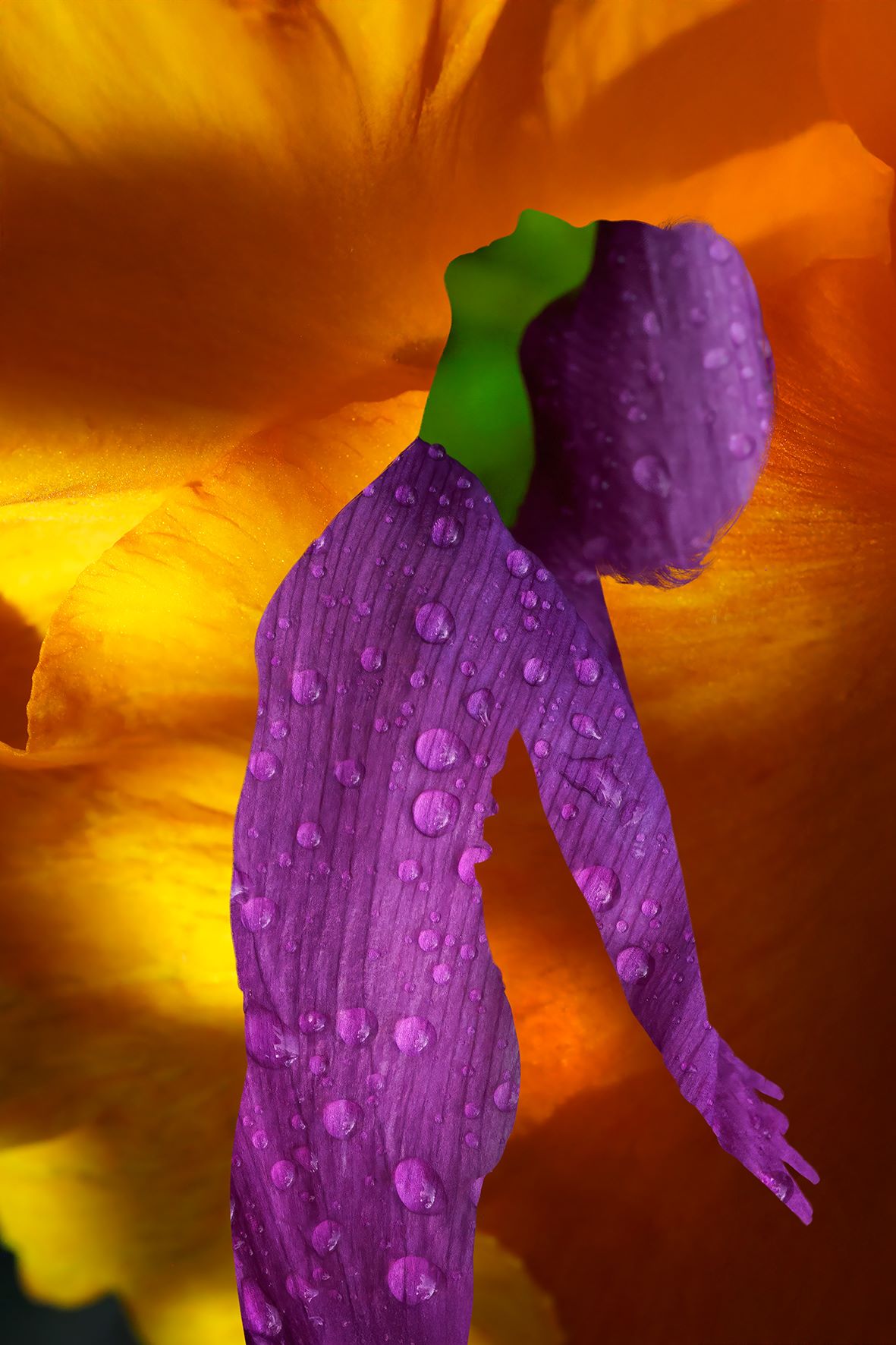 Φωτογραφία της Δέσποινας Κατσώχη