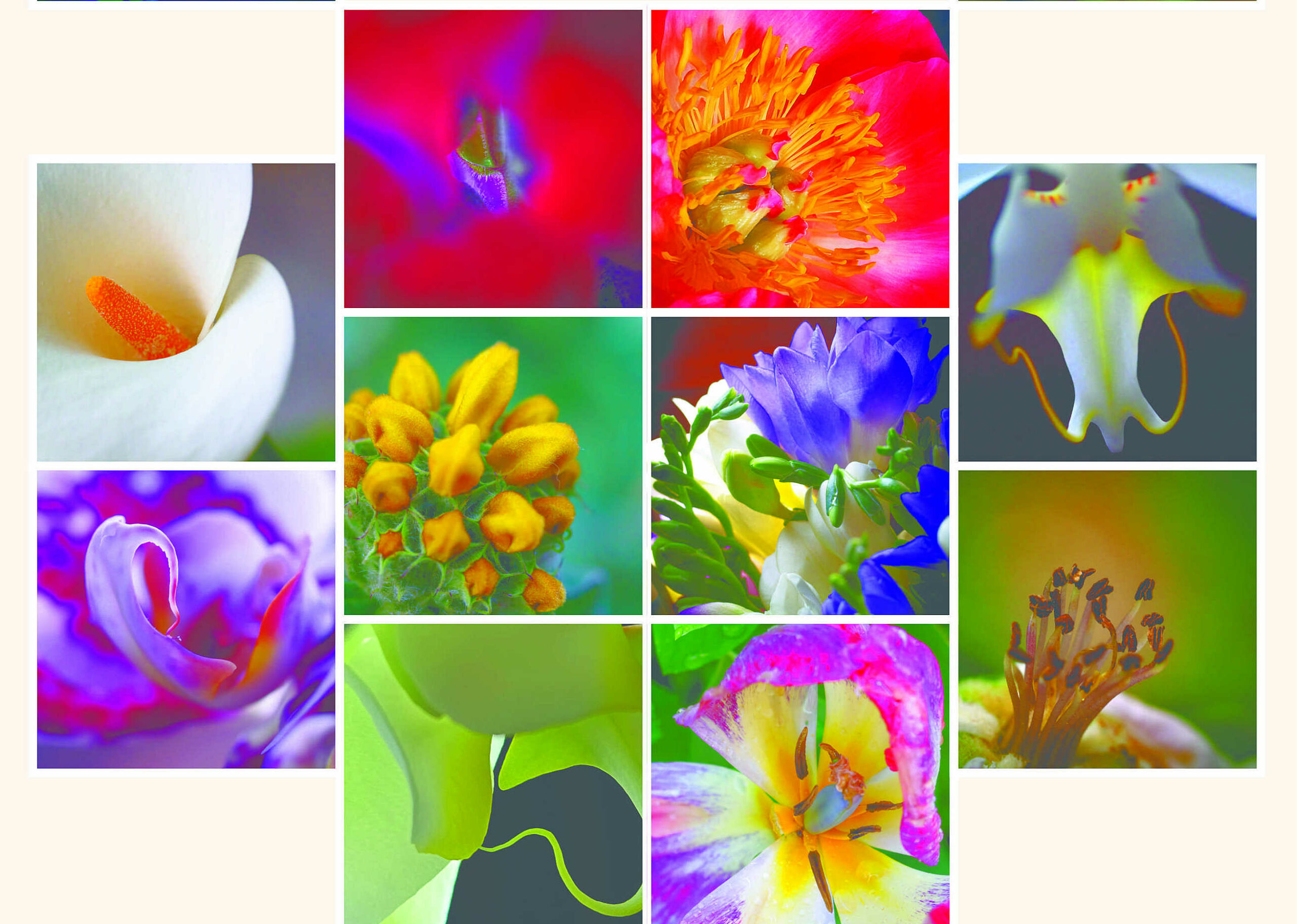 Φωτογραφία της Δέσποινας Κατσώχη