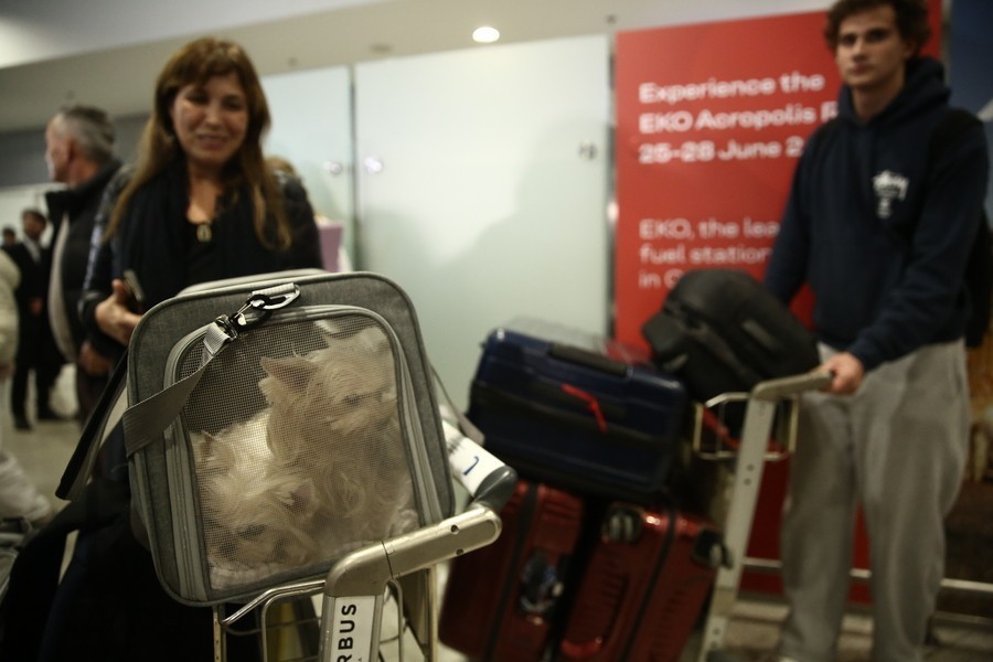 Έλληνες πολίτες από το Άμπου Ντάμπι με τα κατοικίδιά τους φτάνουν στο αεροδρόμιο Ελευθέριος Βενιζέλος στα Σπάτα, με ειδική πτήση για τον επαναπατρισμό τους που οργάνωσε το υπουργείο Εξωτερικών με πτήση της Aegean, Τετάρτη 18 Μαρτίου 2026.  ΑΠΕ-ΜΠΕ/ΑΠΕ-ΜΠΕ/ΓΙΑΝΝΗΣ ΚΟΛΕΣΙΔΗΣ