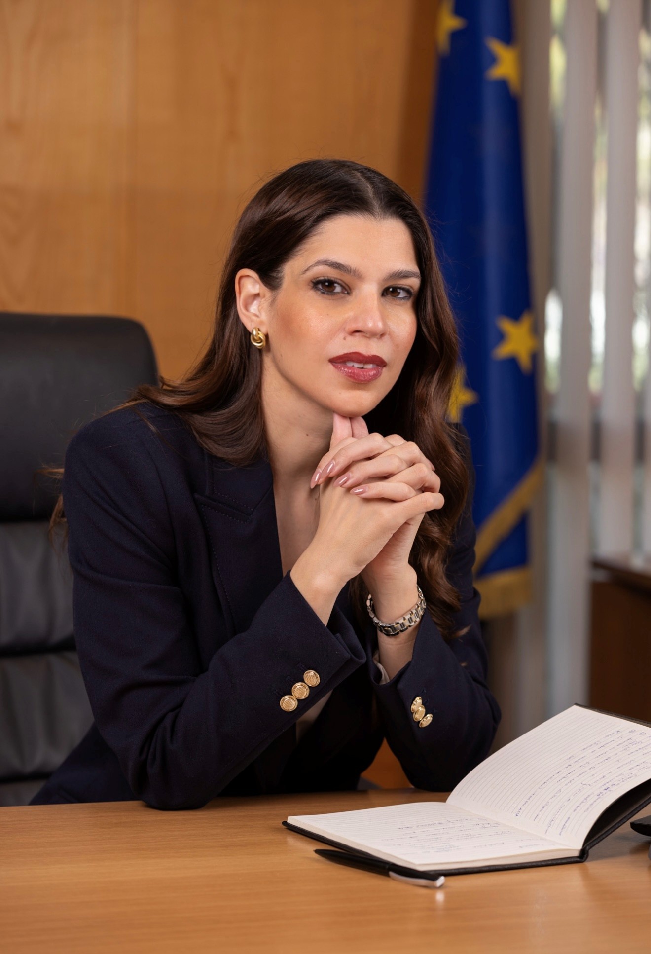 Δέσποινα Παληαρούτα, Γενική Γραμματέας Ενέργειας και Ορυκτών Πρώτων Υλών