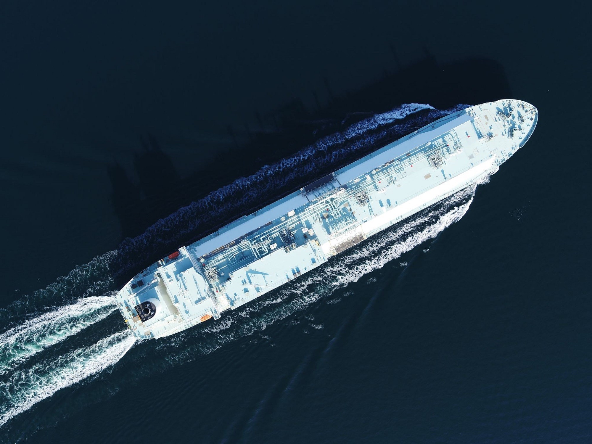 Το "Minerva Roxanne"