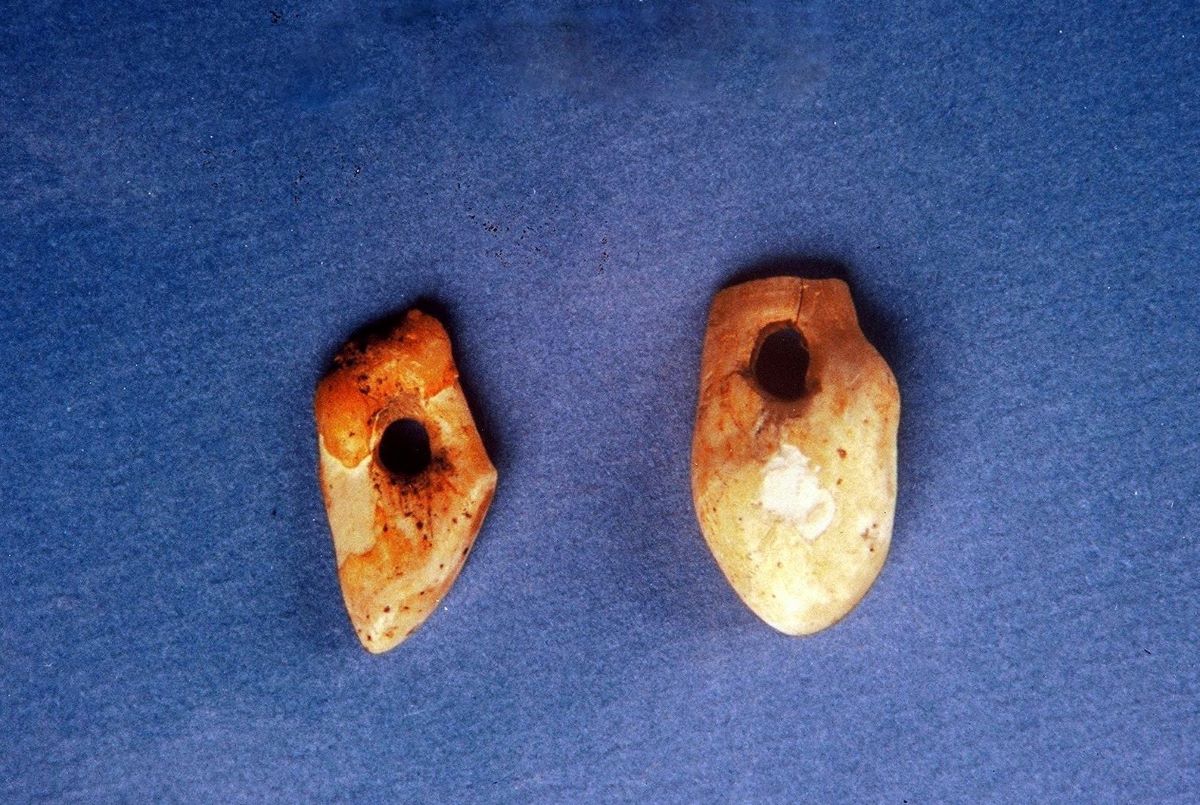 Κυνόδοντες ελαφιών με οπή ανάρτησης, Παλαιολιθική εποχή