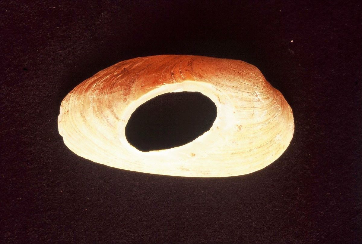 Κοχύλι γλυκού νερού με οπή ανάρτησης, Παλαιολιθική εποχή